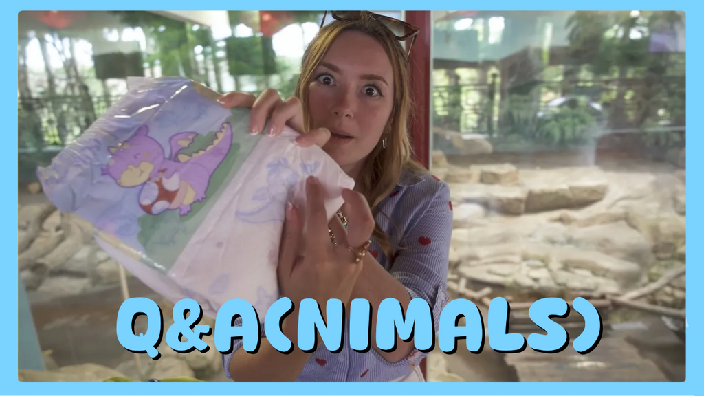 LNGU Q&Animals au Zoo